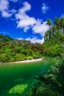 The Pororari River, Paparoa National Park, Punakaiki, New Zealand Art Print